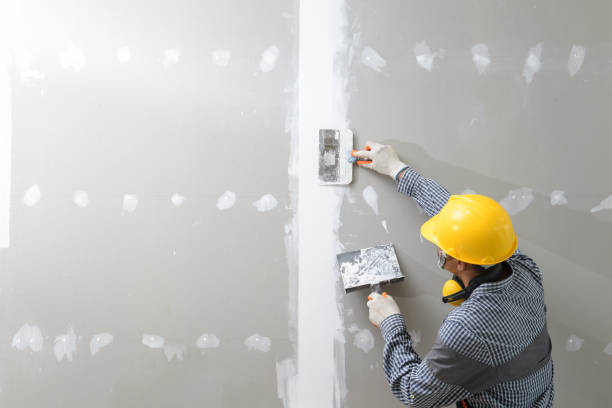 Trusted Bon Secour, AL Drywall & Painting Services Experts